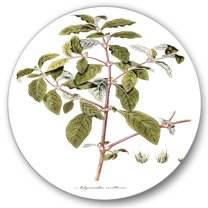 Designart 'Ancient American Flora IV' Traditional Circle Metal Wall Art 36x36 - Disc of 36