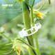 thumbnail image 3 of Conjunto de Clips para enrejados herramientas flexibles de jardinería para soporte Ehuebsd de plantas fruta cereza, 3 of 9