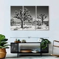 thumbnail image 7 of Elephant Stock Famous Joshua Trees Wall Art - Horizontal Multi Panel Canvas - Hallway Wall Decor - Floral And Botanical Multi Panel - Black And Gray Decor By Philippe Hugonnard - 50" x 32", 7 of 7