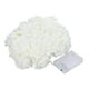 thumbnail image 1 of Guirnalda de luces LED decorativas con batería para San Valentín Blanco 3m, 1 of 9