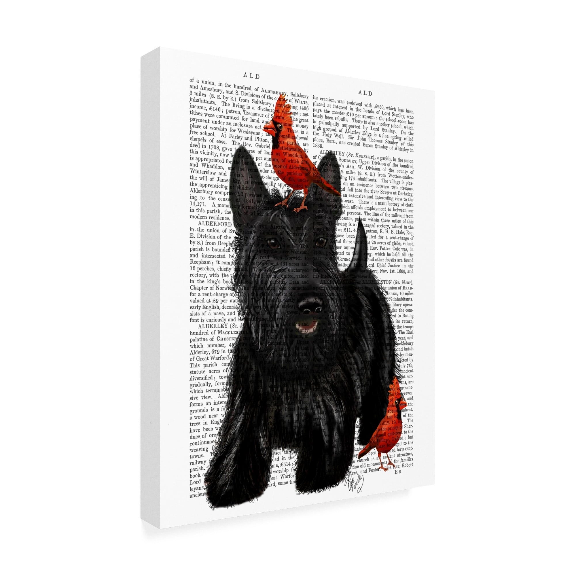 Trademark Fine Art 'Scottish Terrier and Birds' Canvas Art by Fab Funky