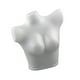 thumbnail image 5 of Maniquí femenino Torso lencería maniquí parte del cuerpo maniquí profesional mujer forma de cuerpo maniquí con sujetador para exposición de t, 5 of 9