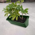 thumbnail image 3 of Shisuyan Water-saving Vertical Planting Box PP Green for Garden 2pcs, 3 of 8