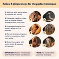 thumbnail image 3 of MOERIE Mineral Hair Growth Shampoo and Conditioner Plus Hair Spray Pack – The Ultimate Hair Care Set – For Longer, Thicker, Fuller Hair - Stop Hair Loss – Paraben & Silicone Free Products (3 items), 3 of 7