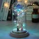 thumbnail image 1 of Led Enchanted Galaxy Rose Eternal Flor de lámina de oro de 24k con luces de cadena de hadas en la cúpula para el regalo del día de San Valentín de Navidad, 1 of 4