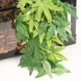 thumbnail image 4 of Flmtop Aquarium Reptile Fish Tank Artificial Plastic Fake Hanging Leaves Plant Decor Green, 4 of 8