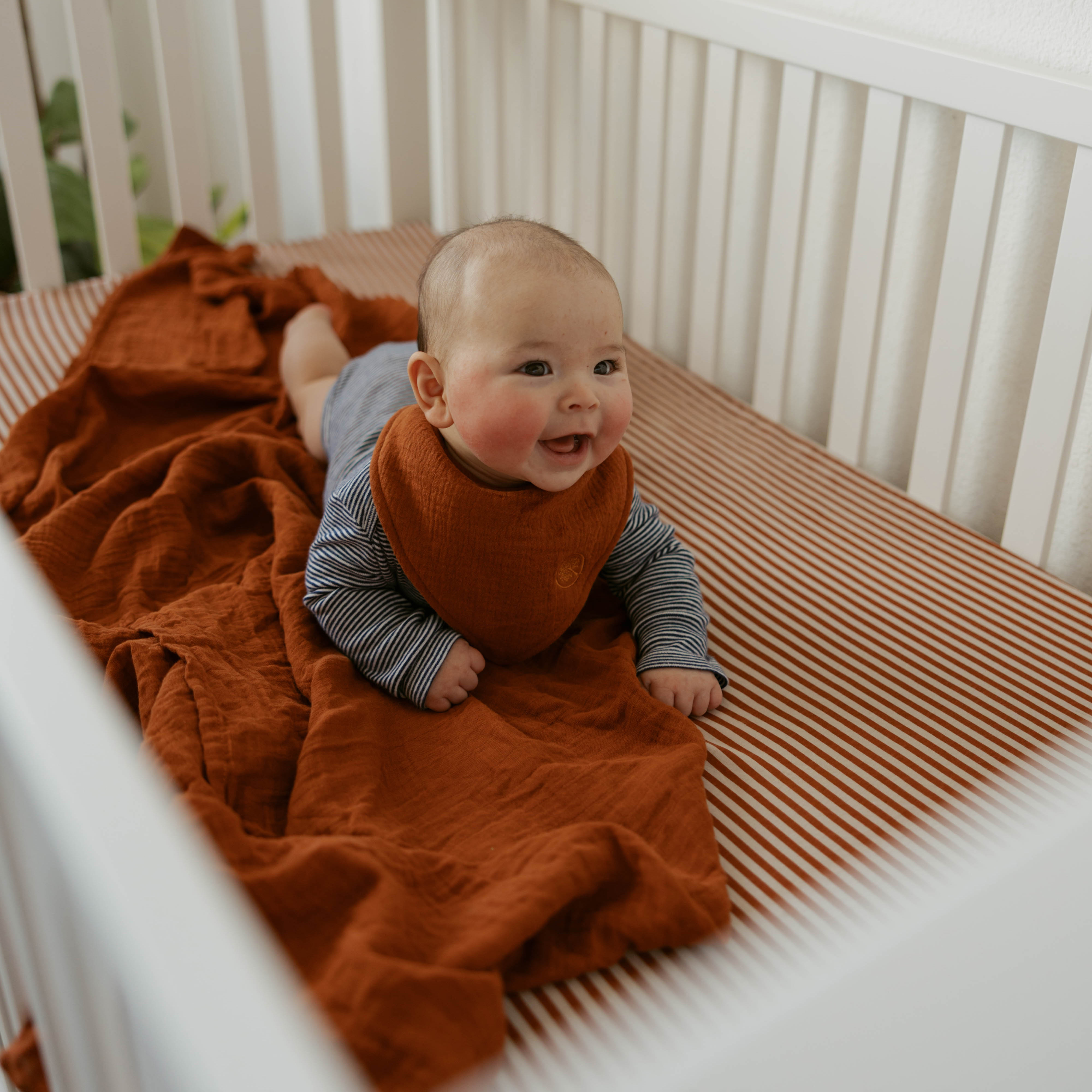 Parker Baby Swaddles - 3 Pack Infant 100% Cotton Muslin Female Swaddle Blankets - Clay Set