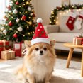 thumbnail image 5 of Christmas Pet Hat for Small Medium Dogs and Cats, Cute Santa Hat Holiday Costume Accessory for Christmas Parties and Photoshoots, 5 of 6