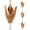 Antique Gold, variant on Topadorn Rain Chain, 8.6 FT Flower Leaf Metal Rain Chain, Functional and Decorative Replacement for Gutter Downspouts, Adjustable, Antique Gold