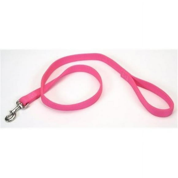 Coastal Pet Products CO06741 2904 1 in. Double Lead - Neon Pink