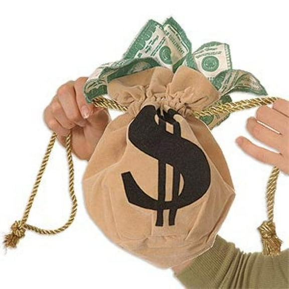 Money Bag W/ Money