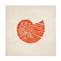 Trademark Fine Art Emel Tunaboylu  Shell Canvas Wall Art