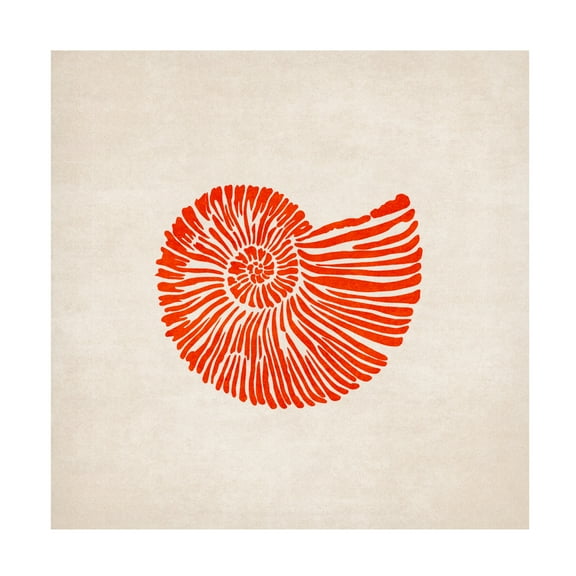 Trademark Fine Art Emel Tunaboylu Shell Canvas Wall Art