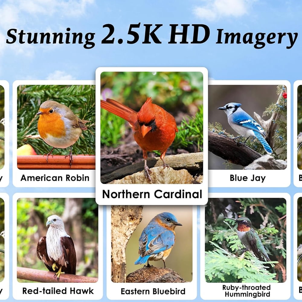 Smart Solar Bird Feeder with Camera, equipped with AI bird recognition, automatically captures high-definition backyard garden birdwatching footage, ideal gift for bird lovers.