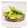 thumbnail image 1 of Haba verde por kilo, 1 of 3