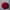 Red, variant on Cushion Round Solid Color Pleated Floor Pillow Diameter 38 * 10CM