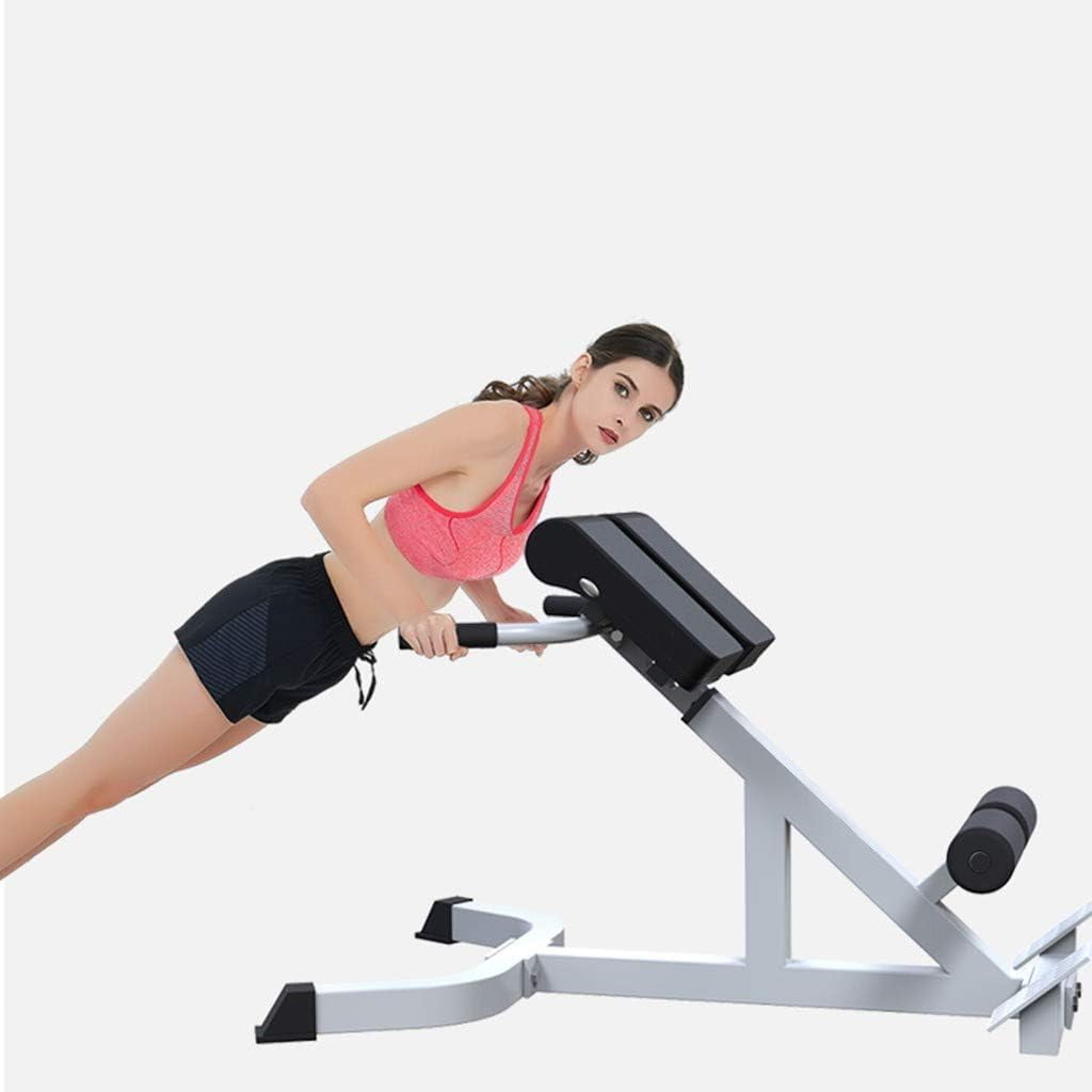 TOPTENG Roman Chair Back Extension Machine - Lower Back Hyperextension Bench - Adjustable Exercise Equipment for Hamstring and Glute for Home Gym 300 lbs