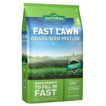 GroundWork 440AP0050UC-5 Fast Lawn Grass Seed Mixture 5lb