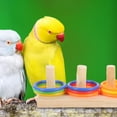 thumbnail image 2 of 1 Set of Bird Training Toy Bird Ring Toy Parakeet Intelligence Toy Bird Educational Toy, 2 of 9