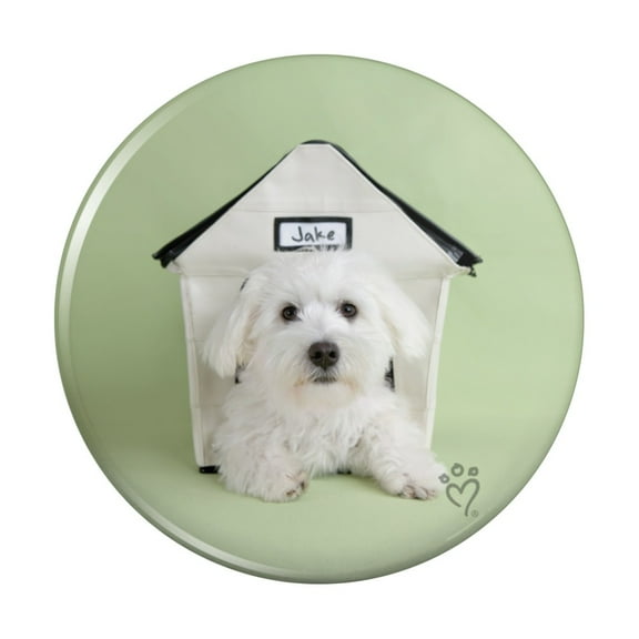 Bichon Frise Maltese Puppy Dog in House Kitchen Refrigerator Locker Button Magnet