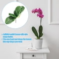thumbnail image 6 of Uxcell 6.7 inch Faux Orchid Leaves Real Touch 5 Petals Artificial Phalaenopsis Leaf Green Plant Stem 2 Pack Green, 6 of 6