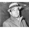 thumbnail image 2 of Vito Genovese History (24 x 18), 2 of 2
