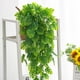 thumbnail image 5 of Rattan Cinco Tenedores Hoja De Tortuga Rattan Verde Colgante De Pared Decoración Para Fiestas Colgante, 5 of 7