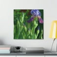 thumbnail image 3 of Iris in Monochrome - Canvas, 3 of 10