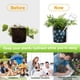 thumbnail image 4 of Dispositivo de riego automático para plantas - 3 bulbos de vidrio transparente - Sistema de riego automático para plantas de interior y exterior (3, transparente), 4 of 5