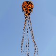 thumbnail image 2 of Cometa de Pulpo Colorida Sunnimix 3D Naranja Negro, 2 of 8