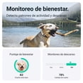 thumbnail image 4 of Rastreador GPS para mascotas Tractive DOG Resistente al agua, 4 of 5