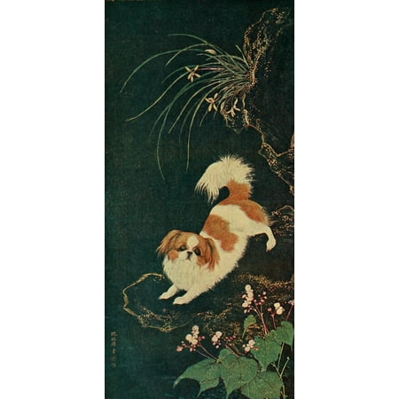 Modern Pekingese Dogs of China & Japan in Nature & Art 1921 Stretched Canvas - Shen Chen-Lin (24 x