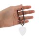 thumbnail image 5 of Houderco 1Jgo Portátil Transparente Para Púas De Guitarra Con Pulsera Y Protector Compacto, 5 of 8