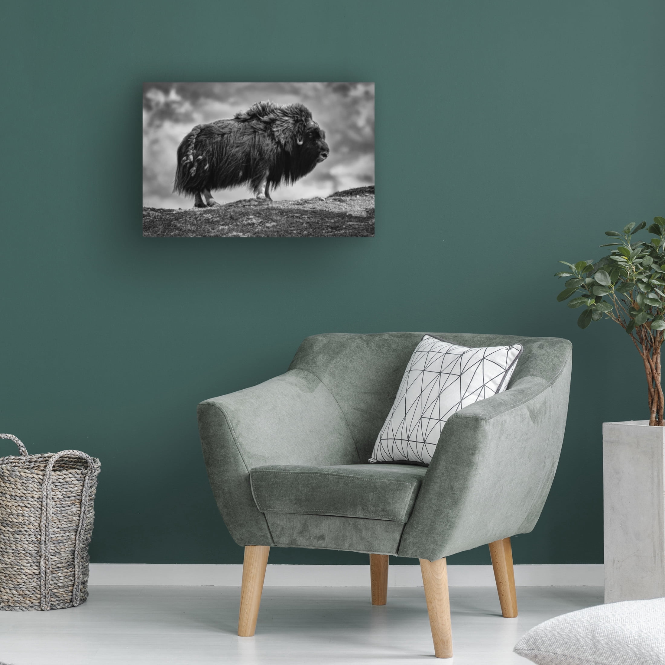 Trademark Fine Art Bjoern Alicke male Musk ox Canvas Wall Art