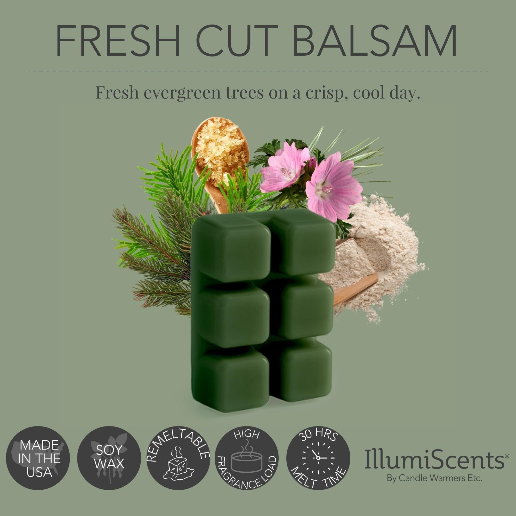 His and Hers Wax Melt - Soybean Wax Melts - Blaque Beauti Scentz