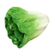 thumbnail image 1 of Vegetal artificial realista, simulación decorativa, exhibición de vegetales. Lechuga, 1 of 9