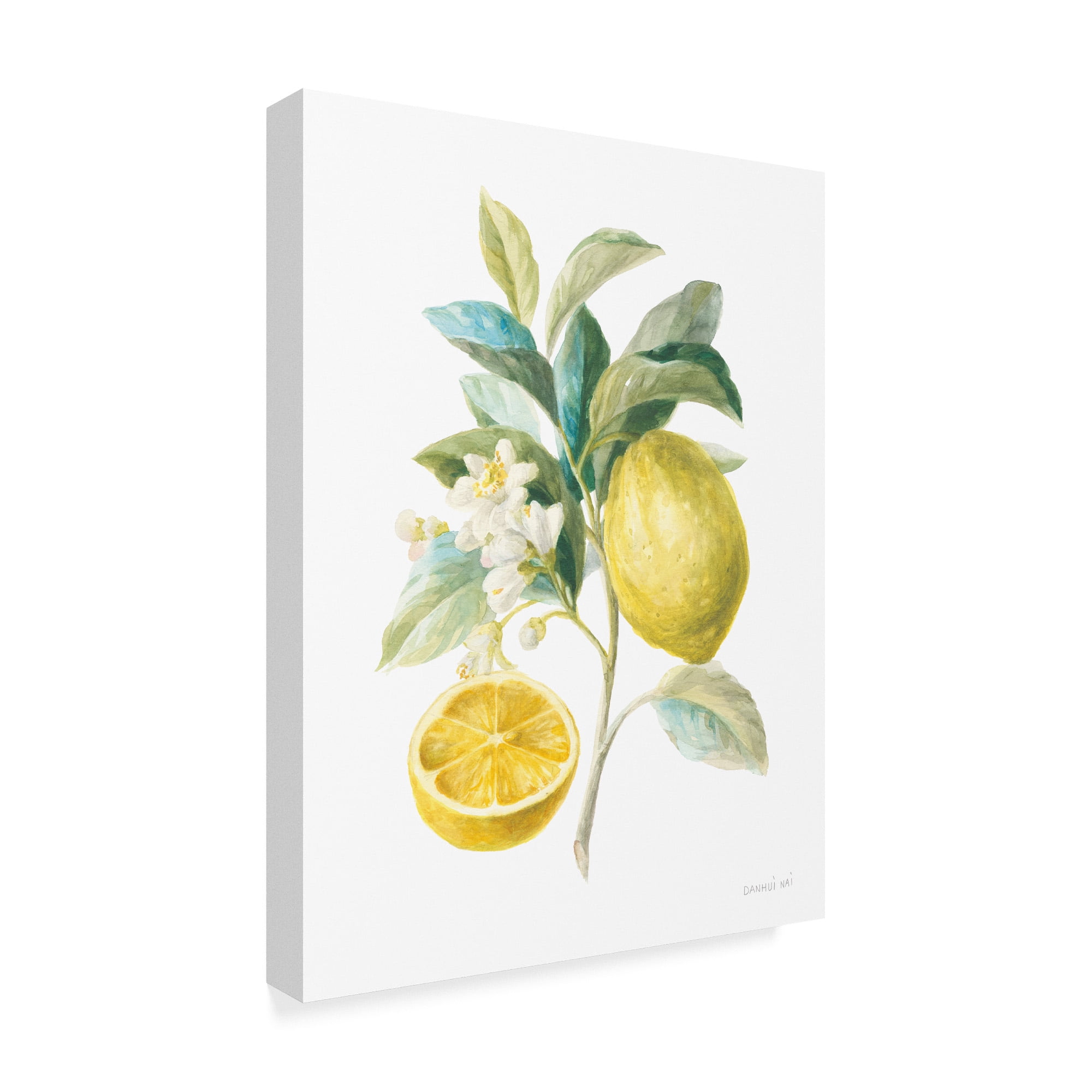 Trademark Fine Art 'Floursack Lemon III on White' Canvas Art by Danhui Nai