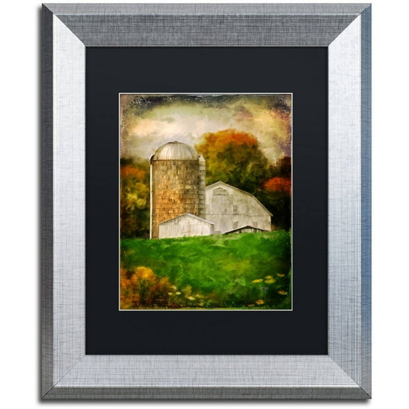 Trademark Fine Art "Down on the Farm" Canvas Art by Lois Bryan Black Matte, Silver Frame