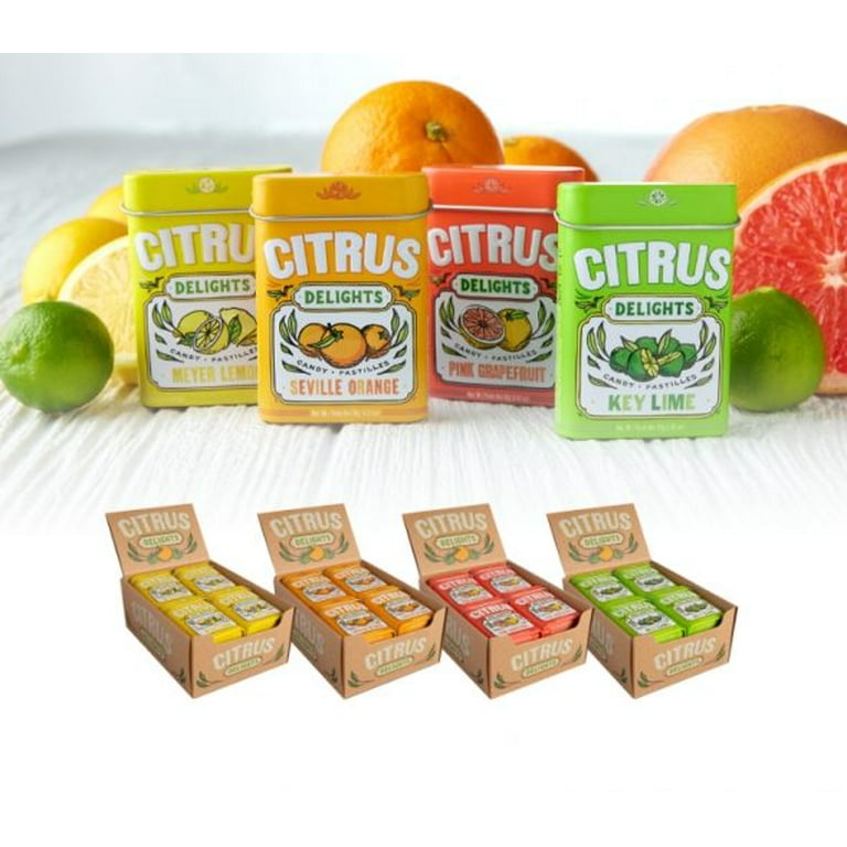 Big Sky Citrus Delights Key Lime Candy Pastilles, 1.07 Ounce Tin