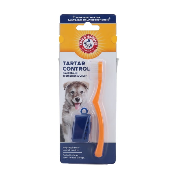 While many dogs show immediate toxicity to the xylitol, some will not show signs until the liver has been damaged extensively. arm hammer advanced care tartar control small breed toothbrush and cover for dogs