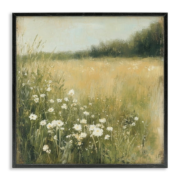 Stupell Industries Daisy Dream Field Black Framed Giclee Art design by Petal Prints Design, 12 x 12
