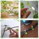 thumbnail image 5 of Paquete de 100 soportes para plantas trepadoras montados en la pared - 3 tamaños - Ganchos autoadhesivos - Fijación invisible - Clips de fijación para vegetales (100 clips verdes), 5 of 5