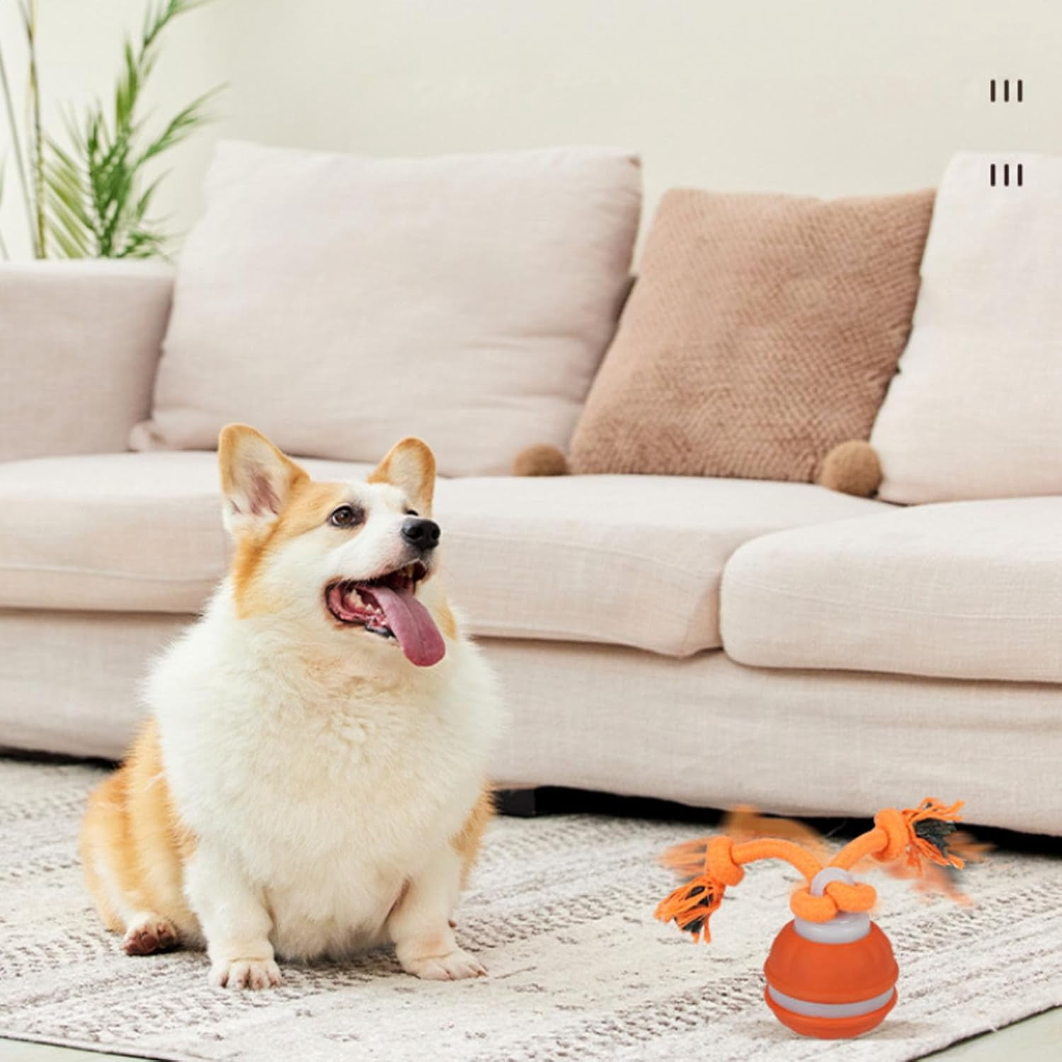 Interactive Dog Toys, Squeaky Dog Toys, Rolling Ball for Puppy and Medium Dogs, Squeaky Indoor/Outdoor Play