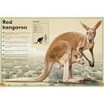 thumbnail image 4 of The Magnificent Book of Animals, 4 of 4