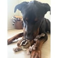 thumbnail image 3 of Steel Dog USA Prairie Brown Chipmunk Dog Toy, 3 of 4