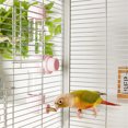 thumbnail image 2 of Duslogis Bird Drinker Waterer Parakeet Water Dispenser for Cage Bird Drinking Water Bottle Parrot Automatic Drinking Device for Budgie Cockatiel Lovebirds Canary Finch (9.4oz/220ml, Pink), 2 of 7