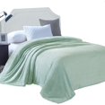 thumbnail image 1 of Flannel Throw Blanket, 167x228 CM Soft Sofa Throws, Waffle Fleece Throws for Sofa, Mint Green Blanket, 1 of 5