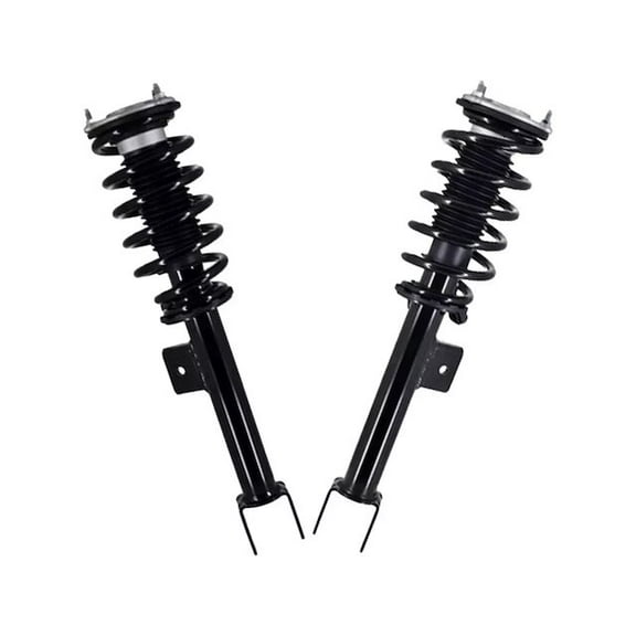 Front Strut Assembly Set - Compatible with 2019 - 2022 Tesla 3 2020 2021