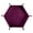 Dark purple, variant on Aellinatey Hexagon Dices Folding Tray Folding Dices Rolling Tray Table Game Part