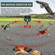 thumbnail image 3 of Ultrasonic Fox Repeller, Solar Powered and Waterproof Animal Deterrent, Flashlight and USB Rechargeable f74, 3 of 5